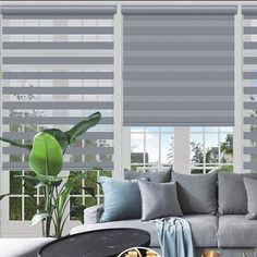 Blackout Zebra Blinds